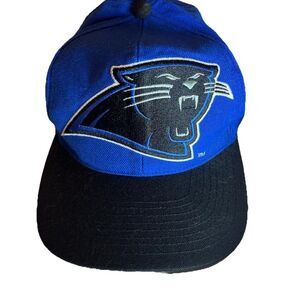Vintage Apex One Carolina Panthers Hat NFL Blue Authentic Pro Line Large